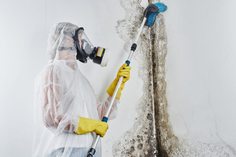 Air Duct Mold Removal in Boca Raton, FL