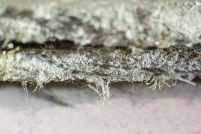 Asbestos Abatement in Somerset County, NJ