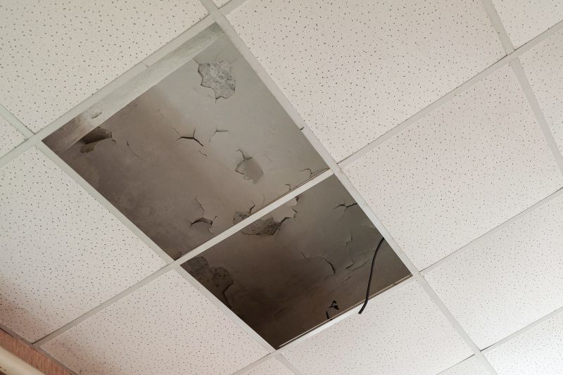 Asbestos Ceiling Removal
