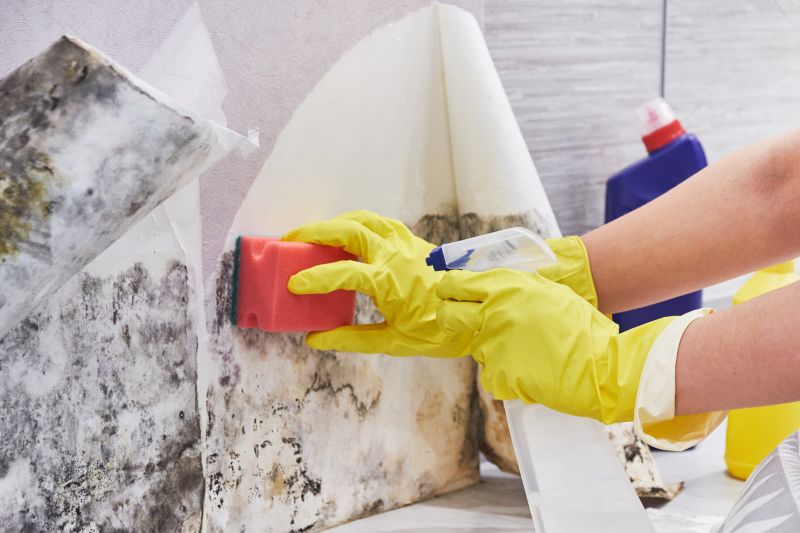 Black Mold Remediation in Dallas, TX