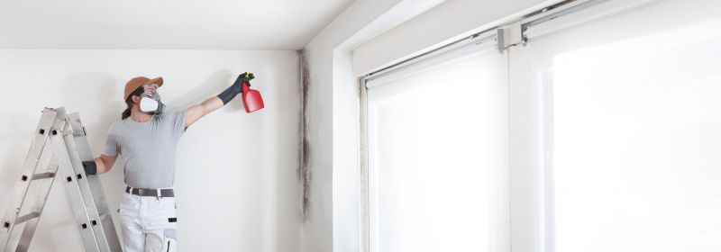 Black Mold Remediation in Frisco, TX