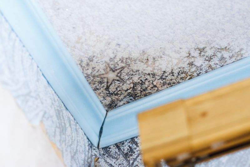 Ceiling Mold Removal in Essex County, NJ