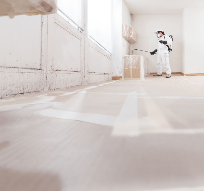 Mold Mitigation Service in Essex County, NJ