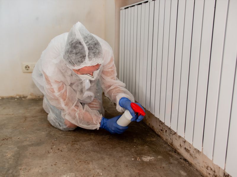 Mold Remediation Service in Boca Raton, FL