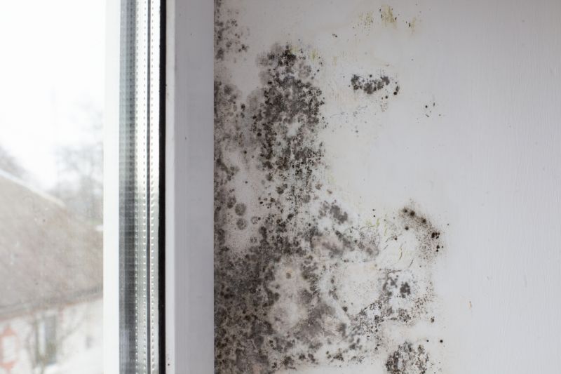 Mold Restoration in Boca Raton, FL
