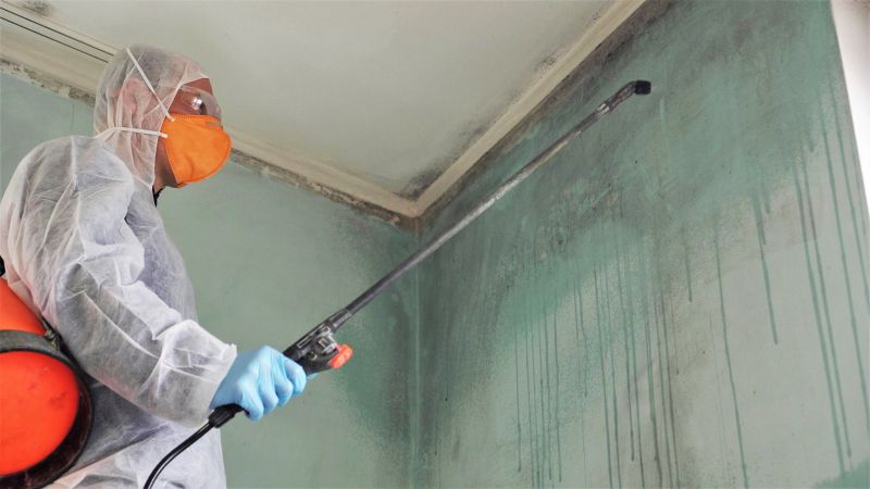 Mold Restoration in Frisco, TX