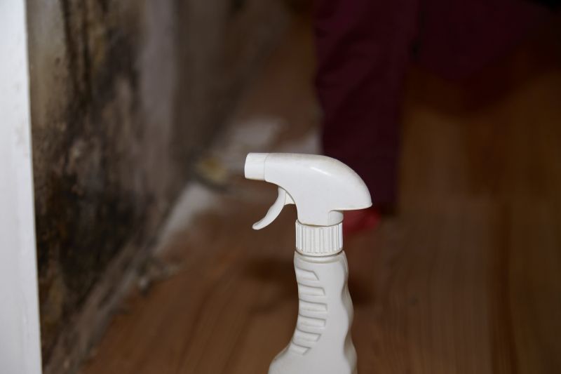 Mold Treatment Service in Essex County, NJ