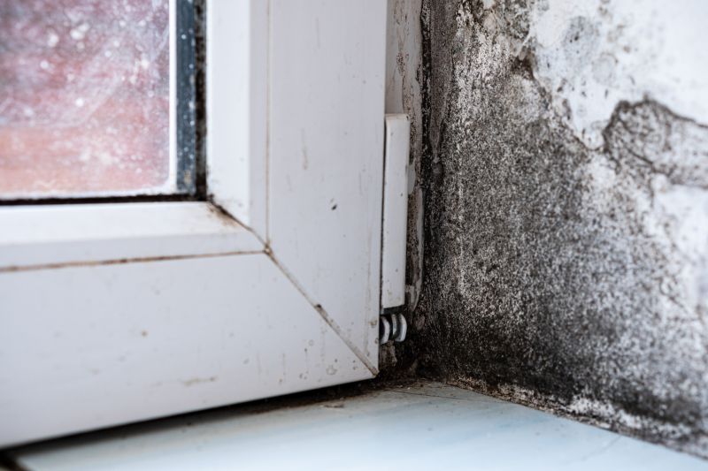 Mold Treatment Service in Frisco, TX