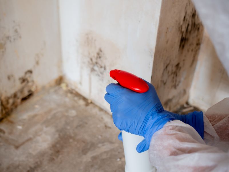 Mold Treatment Service in Fort Worth, TX