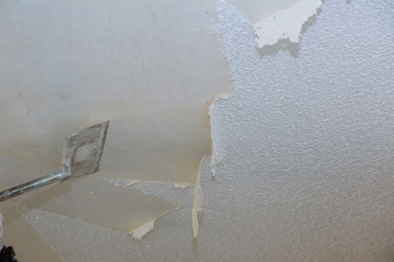 Products For Asbestos Ceiling Removals in use